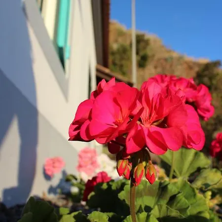 Holiday home Aqua Sea House Madalena do Mar